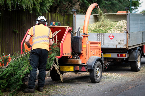 Best Tree and Shrub Care  in Munford, AL